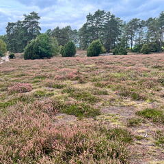 23-09-18 13-14-59 7041